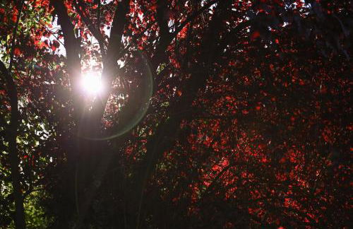 Sleep Space 3 - Green&Tiny Spot Rehburg Schafweide - Photo 37