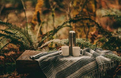 Blissful Solitude Cottage - Foto 28