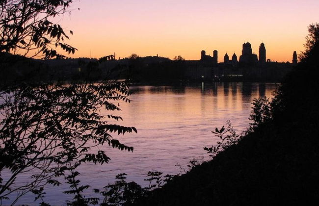 Balcony Views & Forest Calm - Photo 27