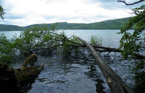 Ferienwohnung Basche - Foto 28