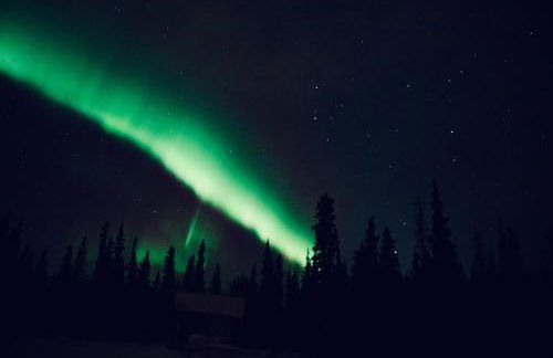 Denali Wild Stay - Moose Cabin, Free Wifi, 2 private bedrooms, sleep 6 - Photo 38