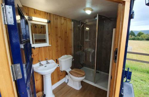 Bertha's Box - Foto 14