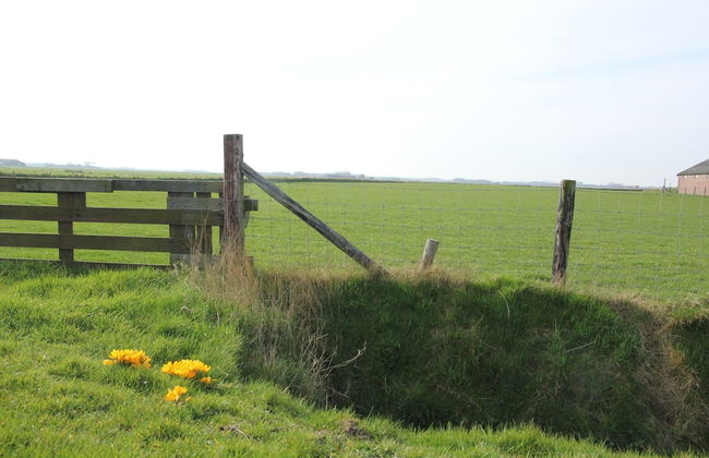 Luxury Villa in Texel - Photo 26