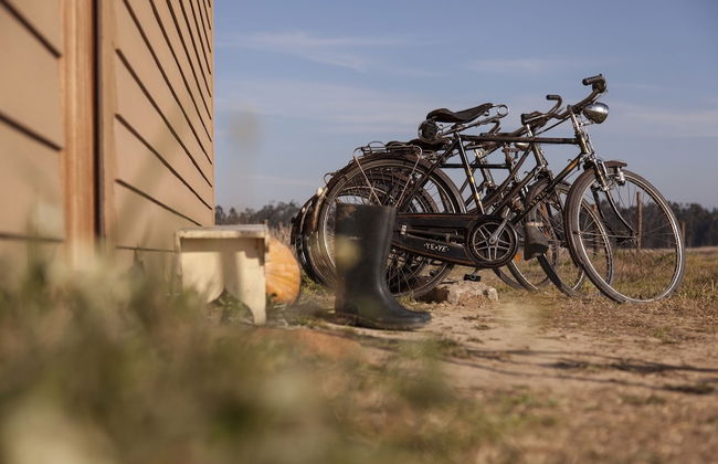 Be & See in Nature - Foto 11