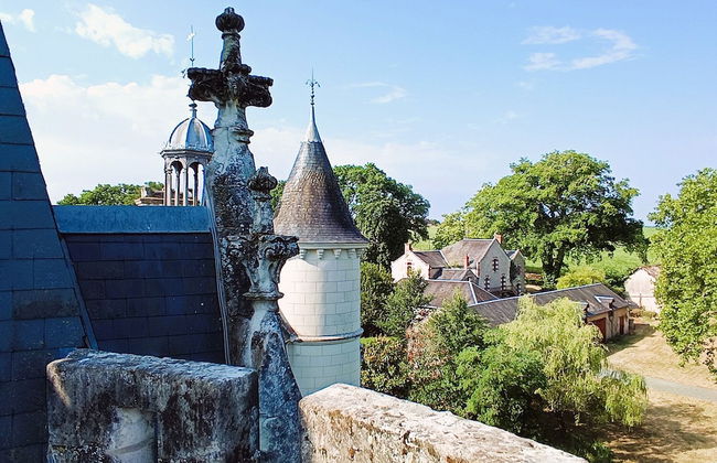 Chateau de Coubloust - Foto 31