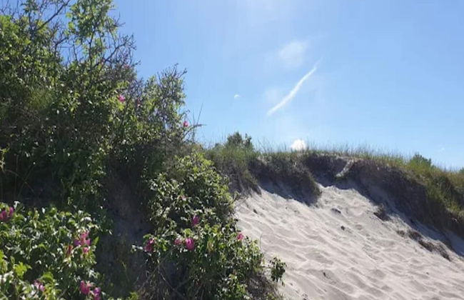 5 Person Holiday Home in Dronningmolle - Foto 9