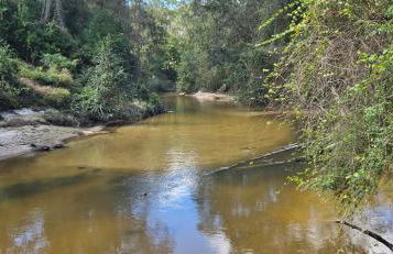Glass House retreat on scenic Bogue Falaya river - Foto 6