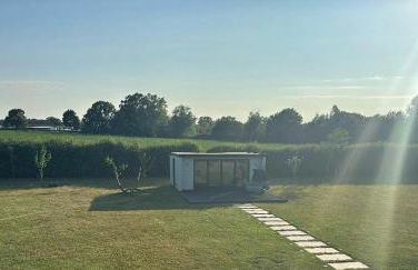 Little George - Foto 9