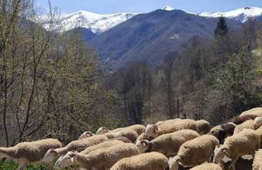 La Grange de l'Ours - Foto 50