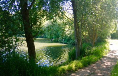 Proche Paris et Disneyland - Foto 24