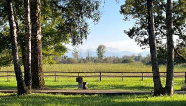 Seewiese Ammersee - Foto 2