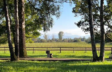 Seewiese Ammersee - Foto 2