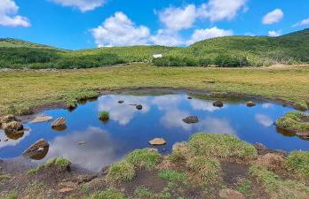 villa taro - Foto 35