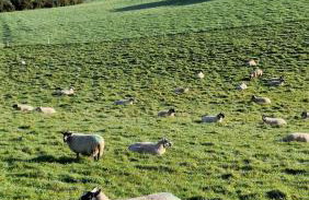 Bramble Cottage, hidden gem in Comber near Belfast - Foto 58