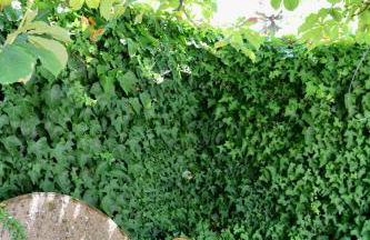 Casa da Eira - Foto 40