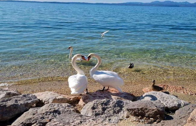 Holiday Home in Lazise Near Lake Garda - Foto 45