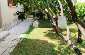 GreenHouse_Anzio - Photo 5