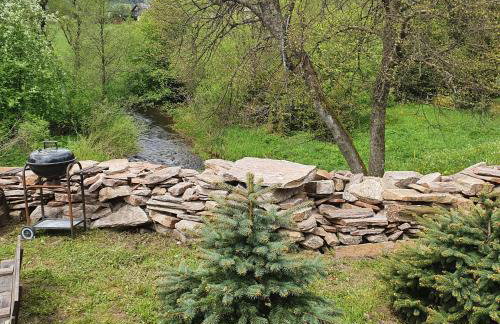 Domki Dzika Orlica - Foto 36