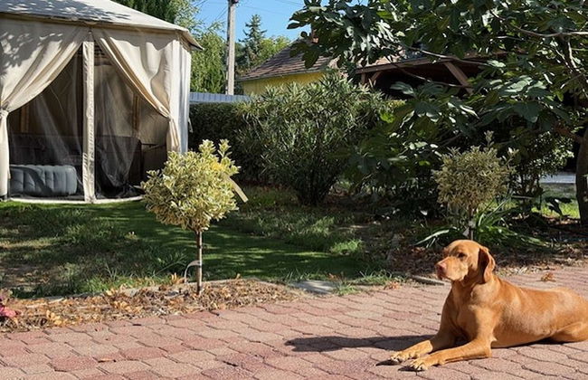 Treasure Of The Past With Whirlpool - Foto 33