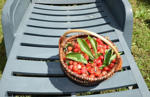 Lovable Apartment, Pool With Deckchairs, Fenced Garden With Grill, Wifi and Airco - Foto 50