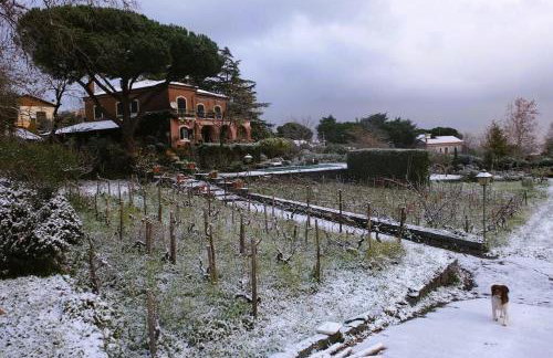 Uvatanta Cottage - Foto 21