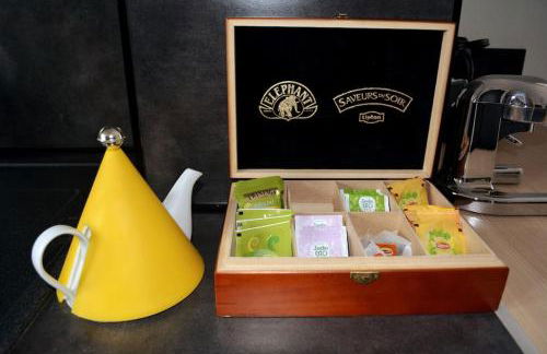 Appartement-terrasse parking privé Meublé de Tourisme 4 étoiles - Foto 18