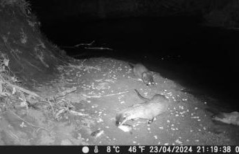 The Piggery, located at the foot of the Malvern's - Foto 17