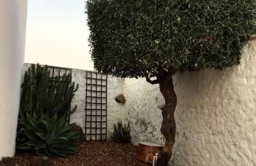 Os 5 Sentidos - Foto 23