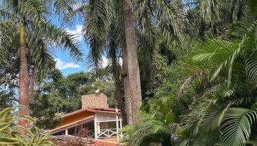 Flor da Serra - Foto 2