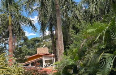 Flor da Serra - Foto 2