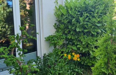 Haus Annelie FEWO 3 EG/OG - Photo 46