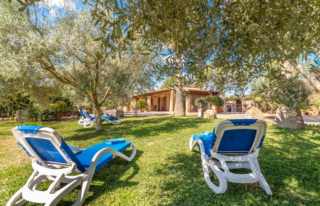 Son Catlar - Photo 23