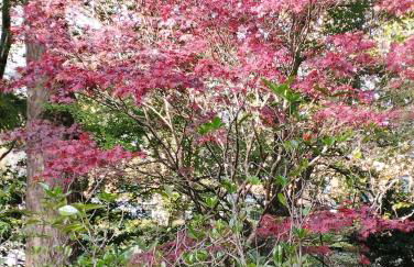 Um quarto da Casa Do Monte - Photo 19