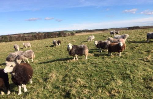 Wagtail Cottage - Foto 17