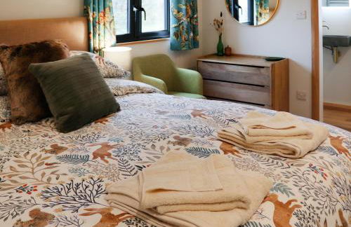 Gwdihŵ - Uk45625 - Foto 10