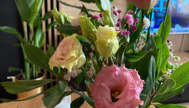 Apartamenty Termalne GREEN Apartment - Foto 3