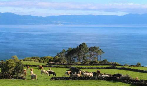 Fish House 3 - Photo 34