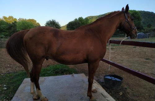 Casas Rurales Majana 1 - Foto 73