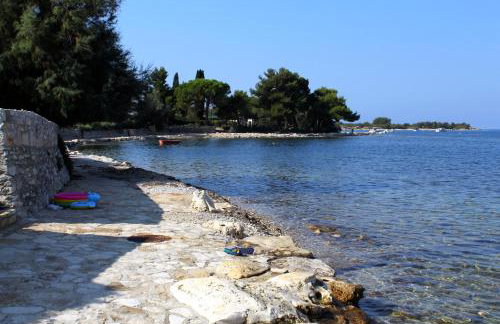 Apartments with parking space Dajla, Novigrad - 6935 - Photo 7