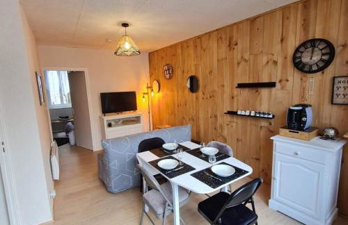 Bel appartement « Les Monts du Cantal » - Photo 14