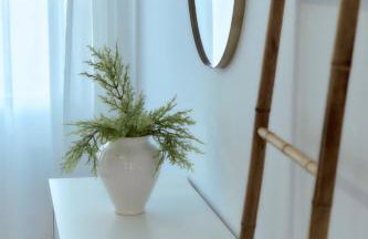 Balili Beach House - Foto 25