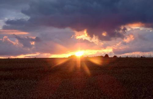 Reihenhaus Geltinger Bucht - Foto 22