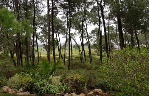 Excellent T2 apartment with pools 400m Falesia beach - Foto 28