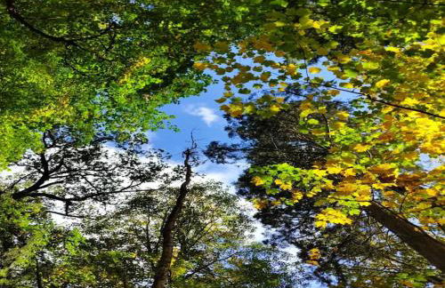 Chalet in Wendorf - Photo 25