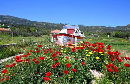 Oleander loft - Photo 29