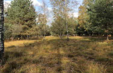 City-Apparte Exklusiv - direkt am Antonius-Hospital - Stilvoll wohnen im Herzen von Gronau - Foto 72