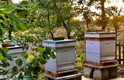 The BeeKeepers - Homely Luxurious Self Catering - Foto 74