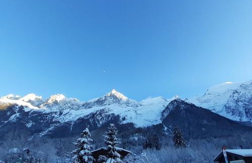 Appartement Chamonix Bossons - Photo 18