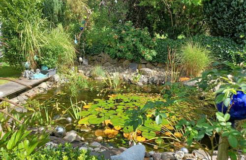 charmante Erdgeschosswohnung in Daun - Photo 23