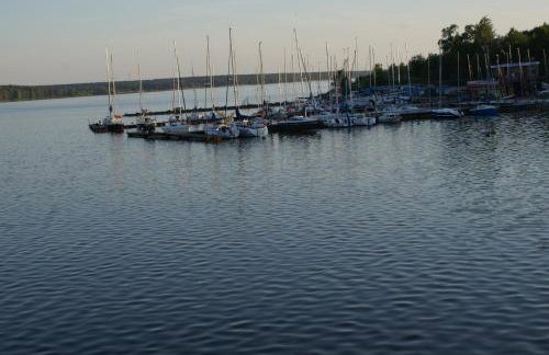 Modra Sikorka - Foto 35